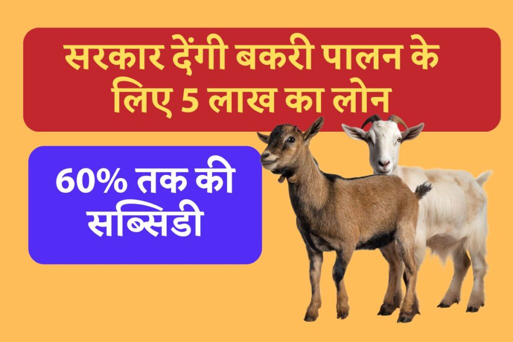 Rajasthan Bakri Palan Yojana 2024: सरकार देंगी बकरी पालन के लिए 5 लाख का लोन – 60% तक की सब्सिडी